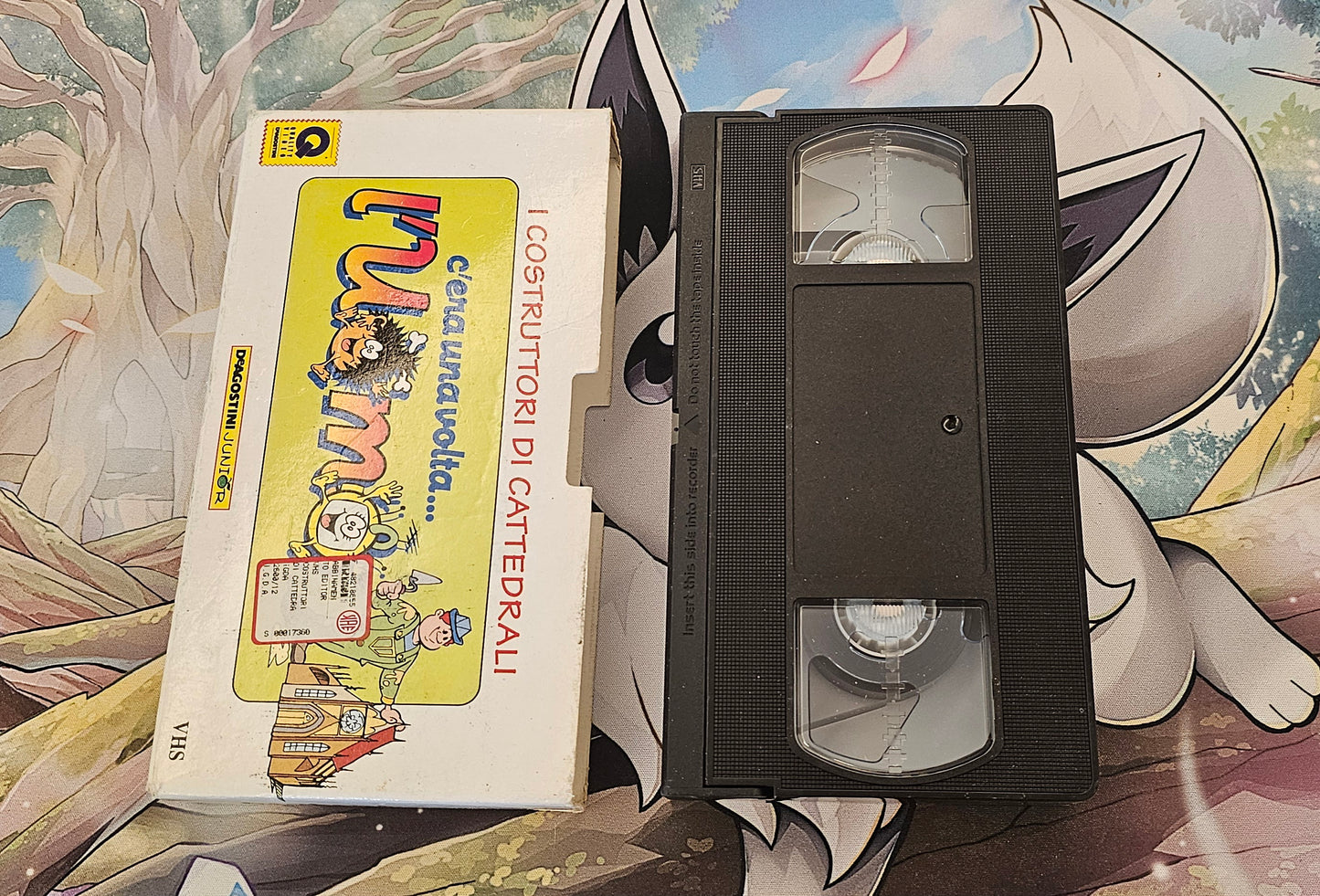 📼 Lotto VHS – “C’era una volta… l’Uomo” (DeAgostini Junior)